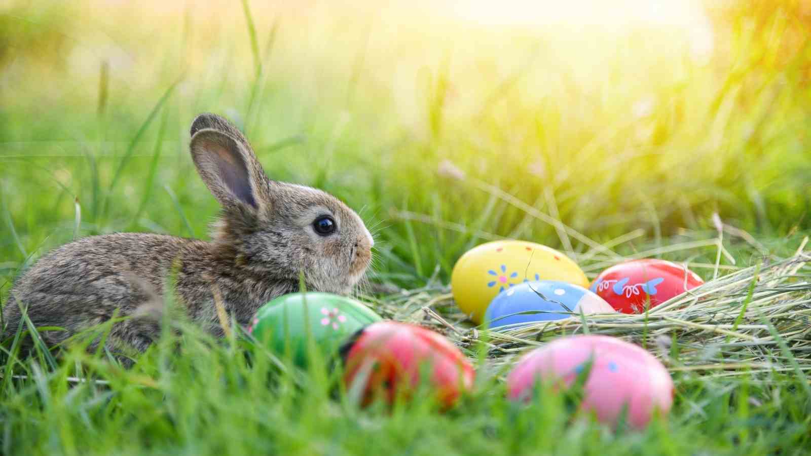 Cool DIY Outdoor Easter Decorating Ideas