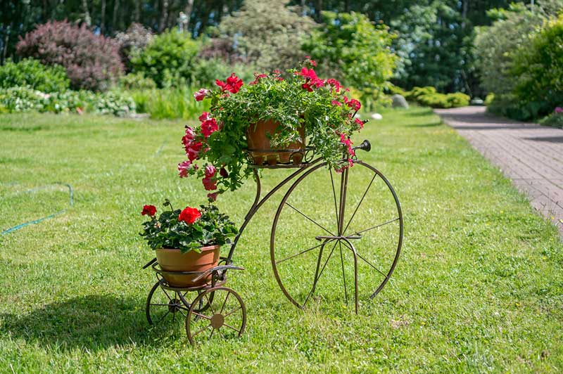 Dual Plant Tricycle for Your Lawn.