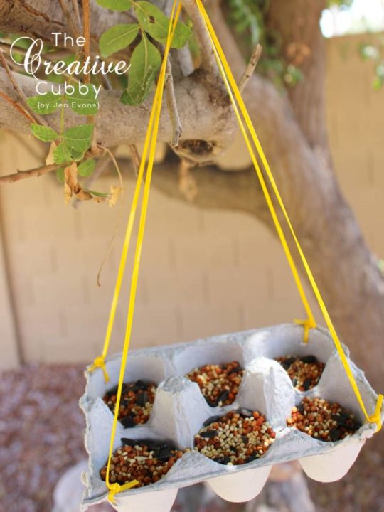 Egg Carton Bird Feeder.