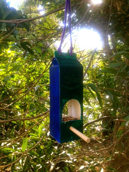 Milk Carton Feeder.