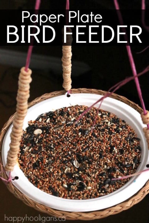 Paper Plate Bird Feeder.