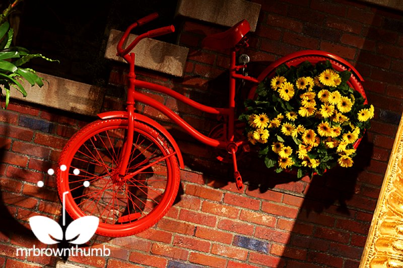 Red Bicycle Vertical Garden.