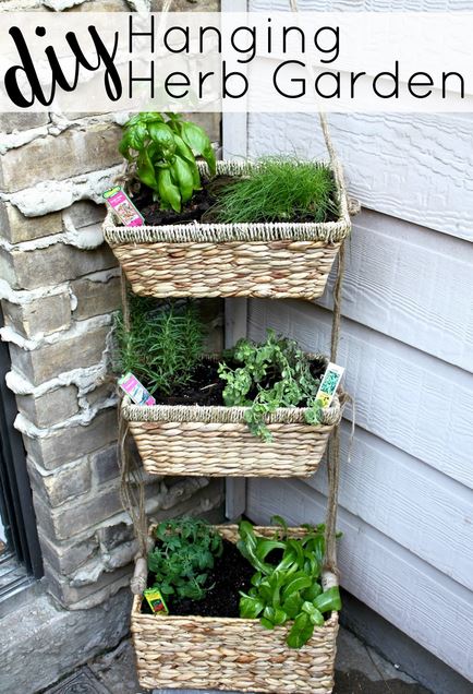 Basket Hanging Herb Garden.