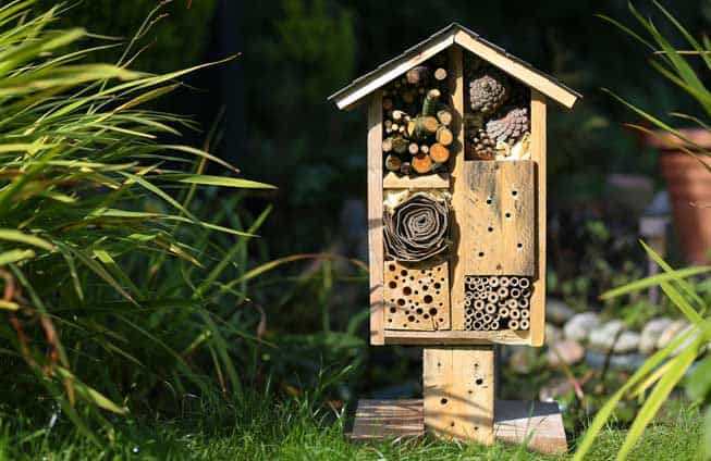 Bee Hotel.