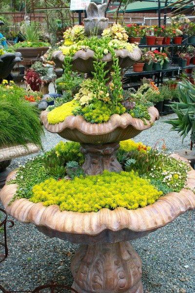 Create a “Succulent” Water Fountain.
