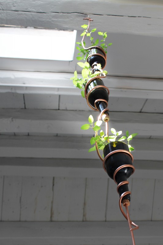 Easy DIY Hanging Herb Garden.