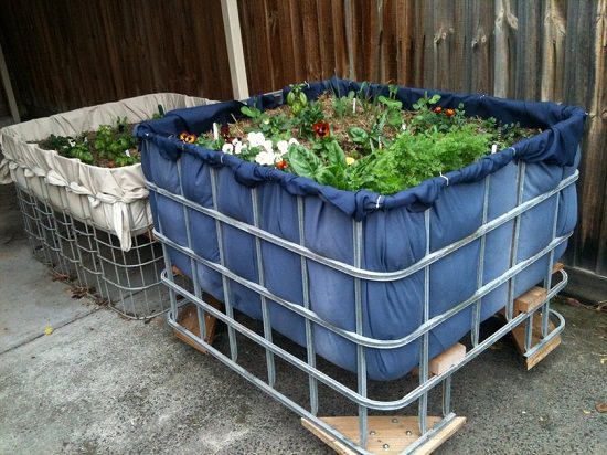 Edible Moveable Garden.