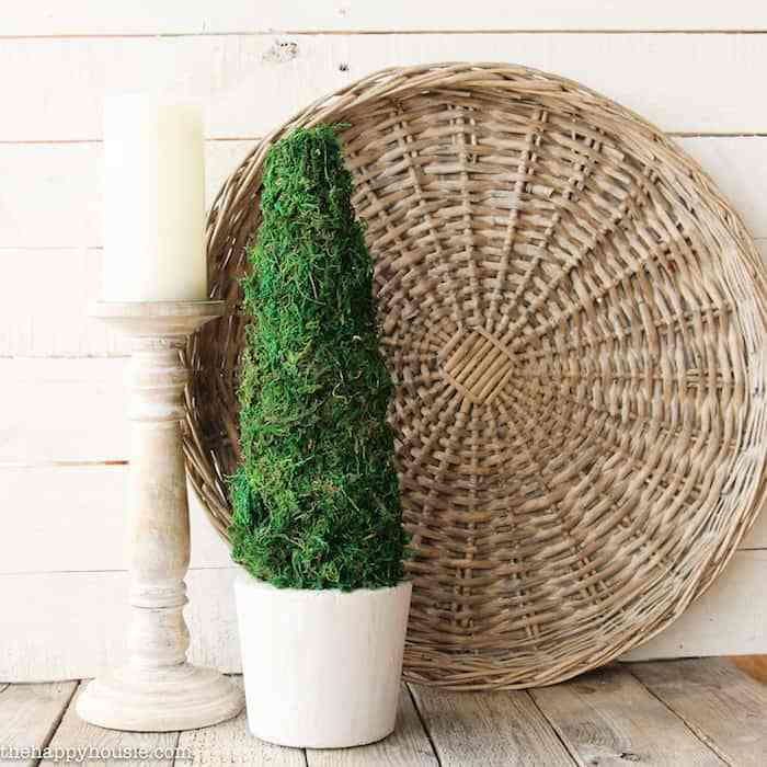 Farmhouse style moss topiary.