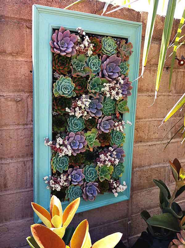 Framed Succulents.