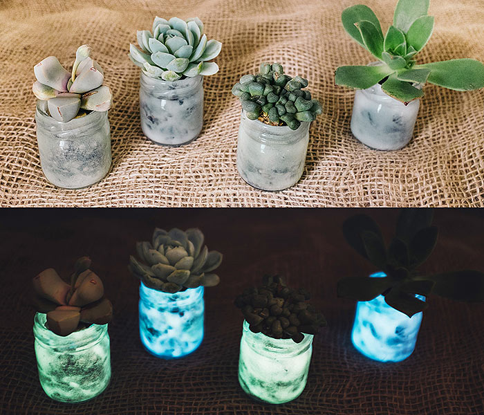 Glow Dark Succulents.