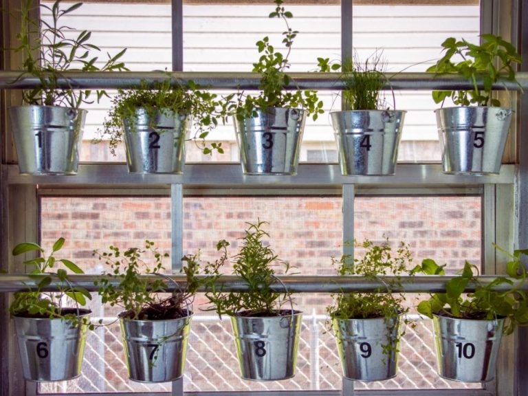 Hanging herb garden for kitchen window.