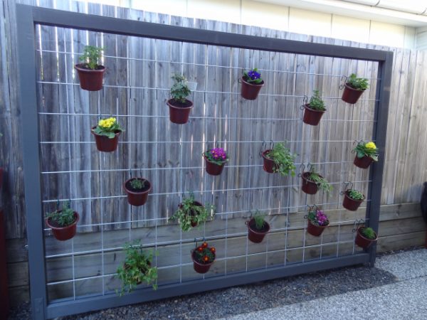 Herb Garden with Galvanized Metal Mesh.