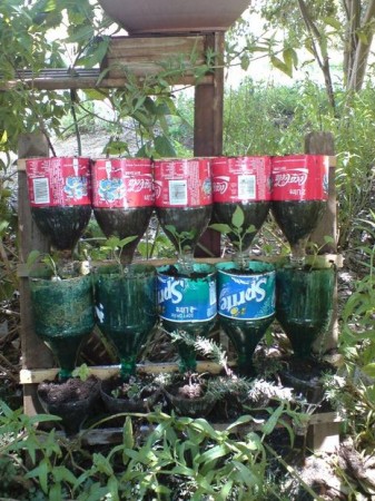 Herb Garden.