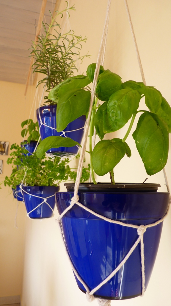 Indoor Hanging Herb Garden.