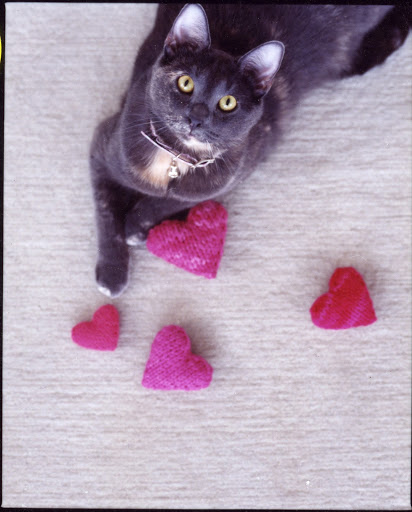 Knitted Catnip Toy.