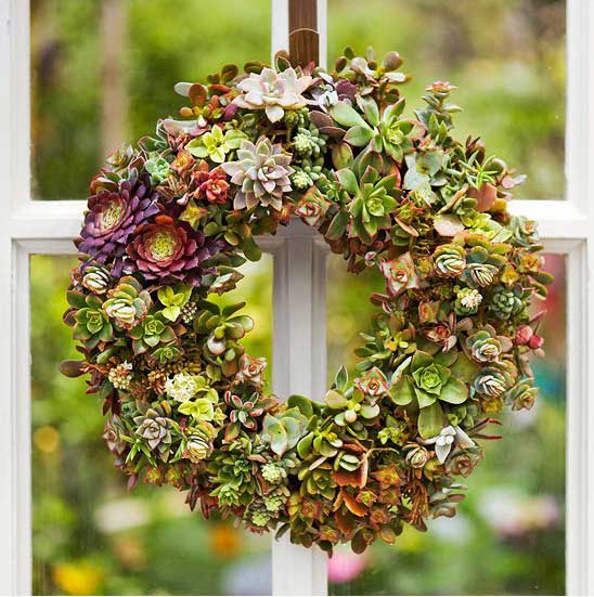 Make A Succulent Wreath.