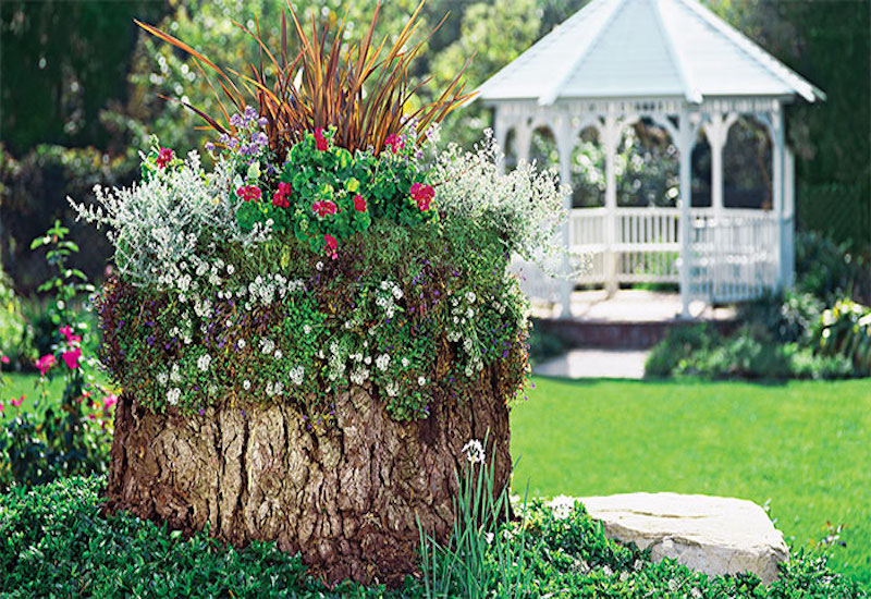 Natural Garden Stump.