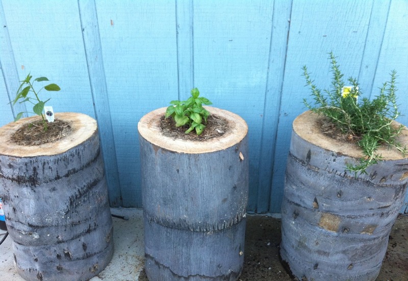 Palm Planter Stump.