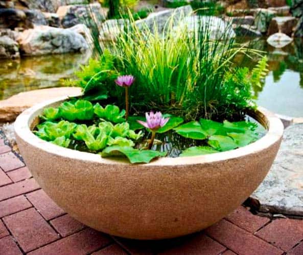 Pond in a Pot.