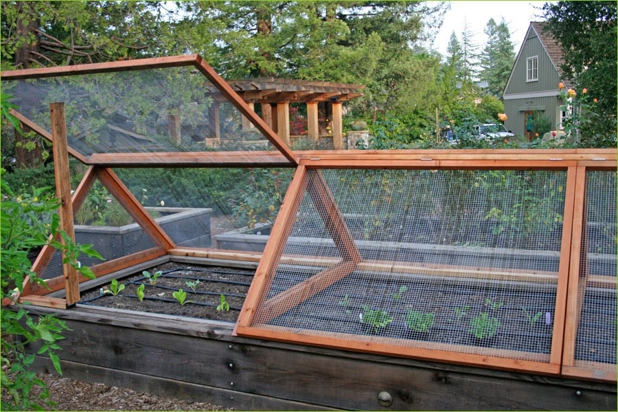 Raised garden bed.