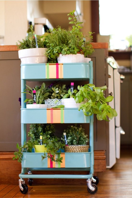 Rolling Herb Garden With Plant Markers.