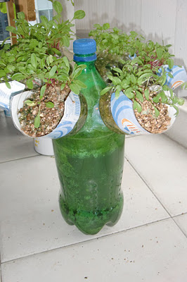 Self-Watering Indoor Garden.