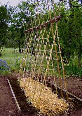 DIY Garden Trellis Ideas for Your Backyard