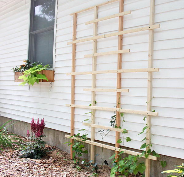 DIY Cedar Trellis.