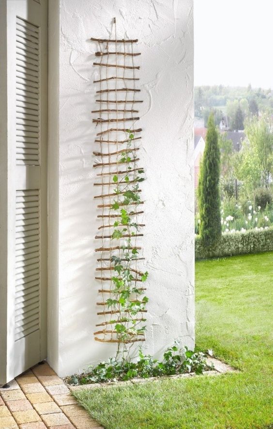 Homemade Twig Trellis.