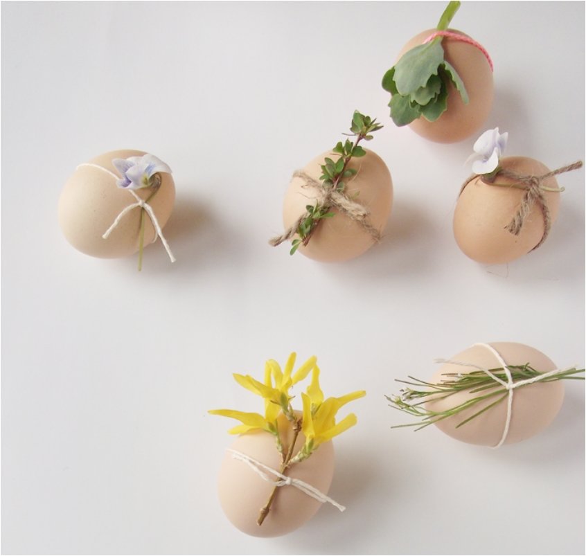 Plant Decorated Eggs.