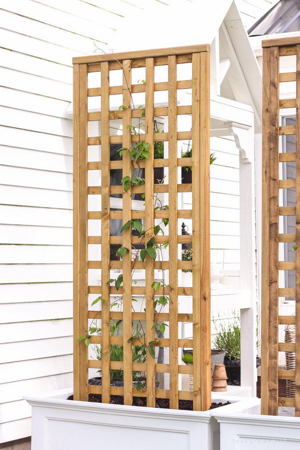 Planter Box with Screen Trellis.