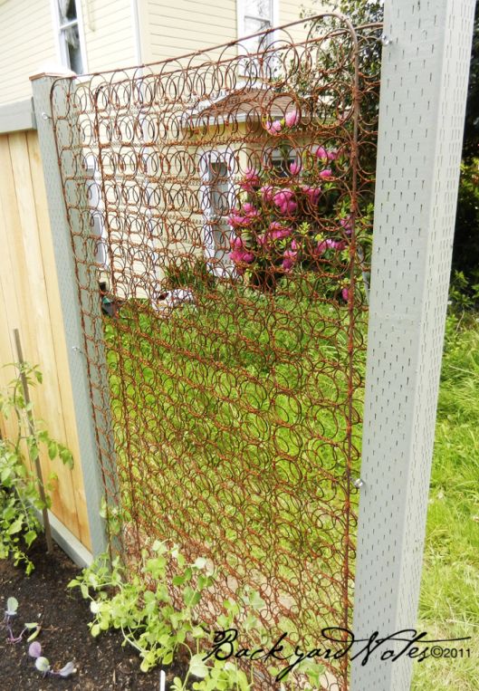 Recycle Old Mattress Springs As Trellis.