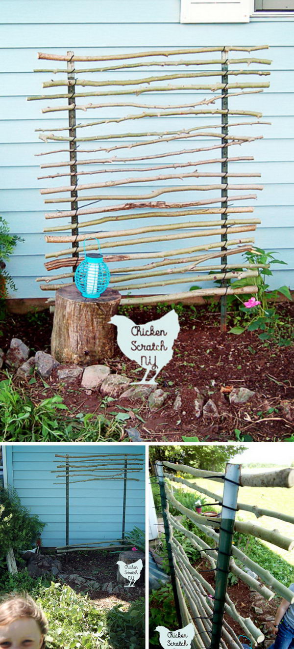 T-Post Trellis Using Branches and Zip Ties.