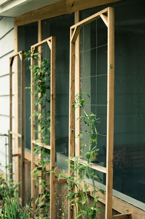 Trellises From Cedar Boards And Wire Cabling