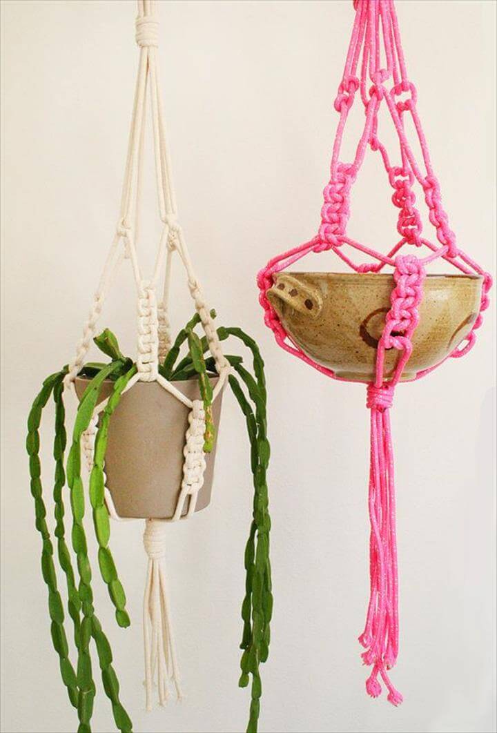 Try Lovely Macrame Plant Hangers.