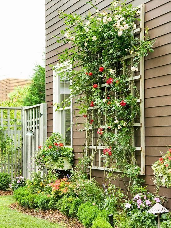 Wall Mounted Outdoor Trellis.