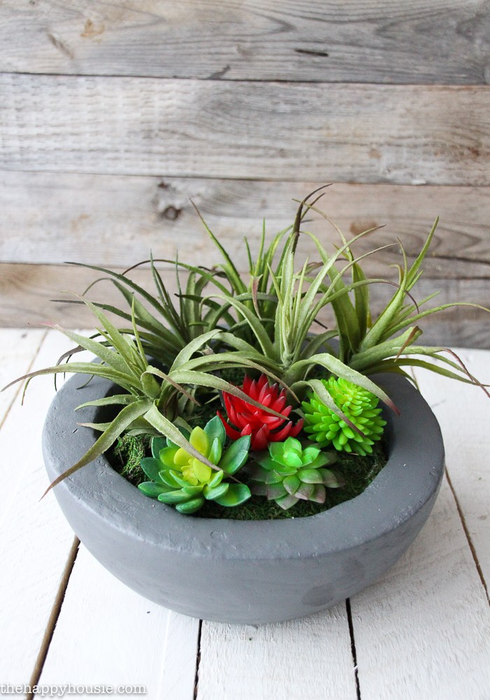 DIY Faux Concrete Bowl Succulent Planter.