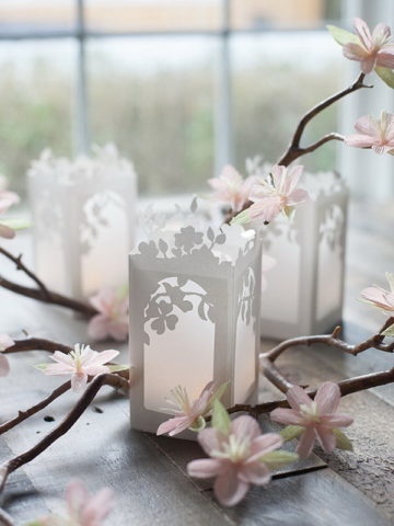 DIY Paper Lanterns.