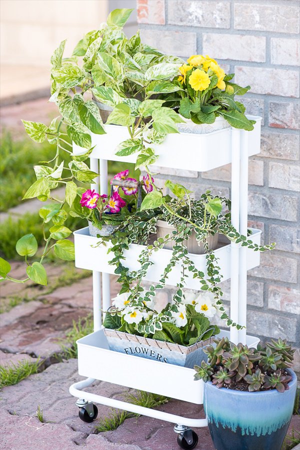 Flower Garden Car.