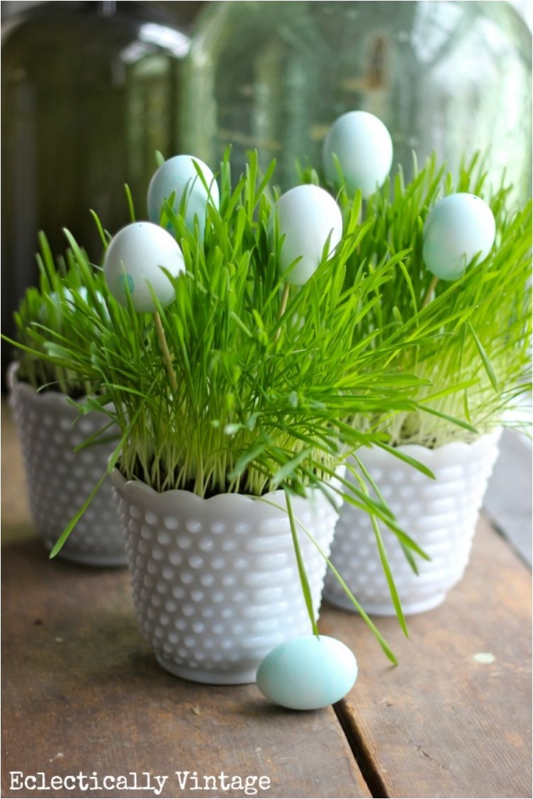 Grow Your Own Springtime Grass Centerpiece.