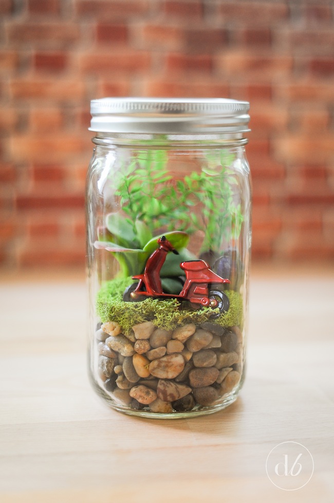 Mason Jar Terrarium.