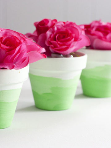 Mini Ombre Painted Flower Pots.