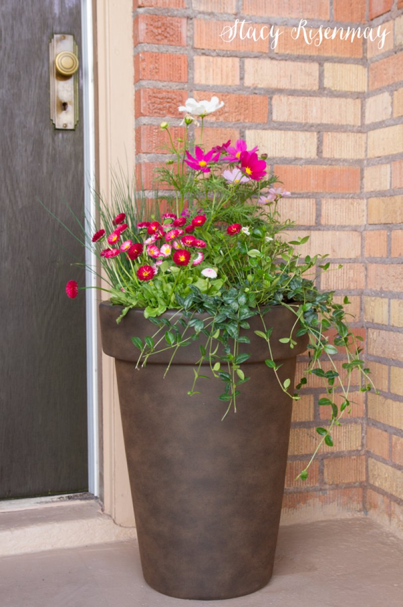 Planting Large Pots.