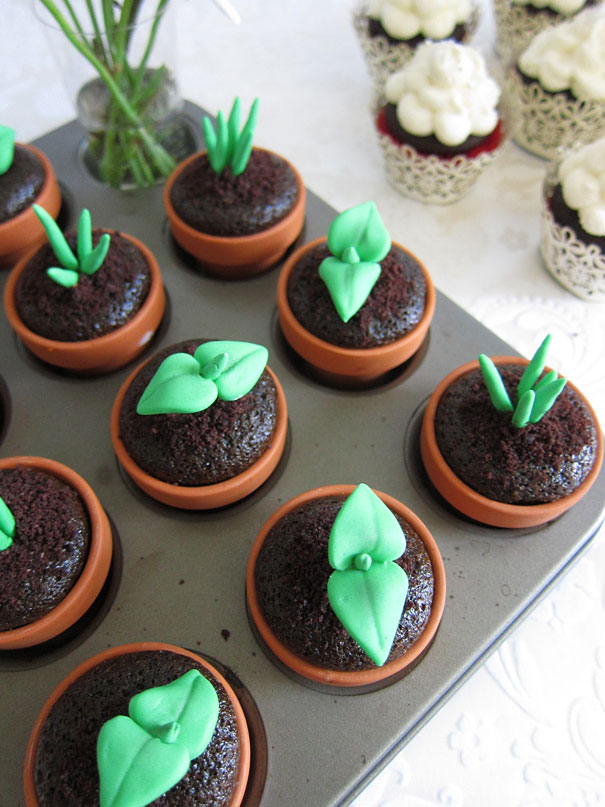 Sprout Cupcakes.