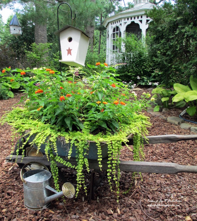 An old wheelbarrow.