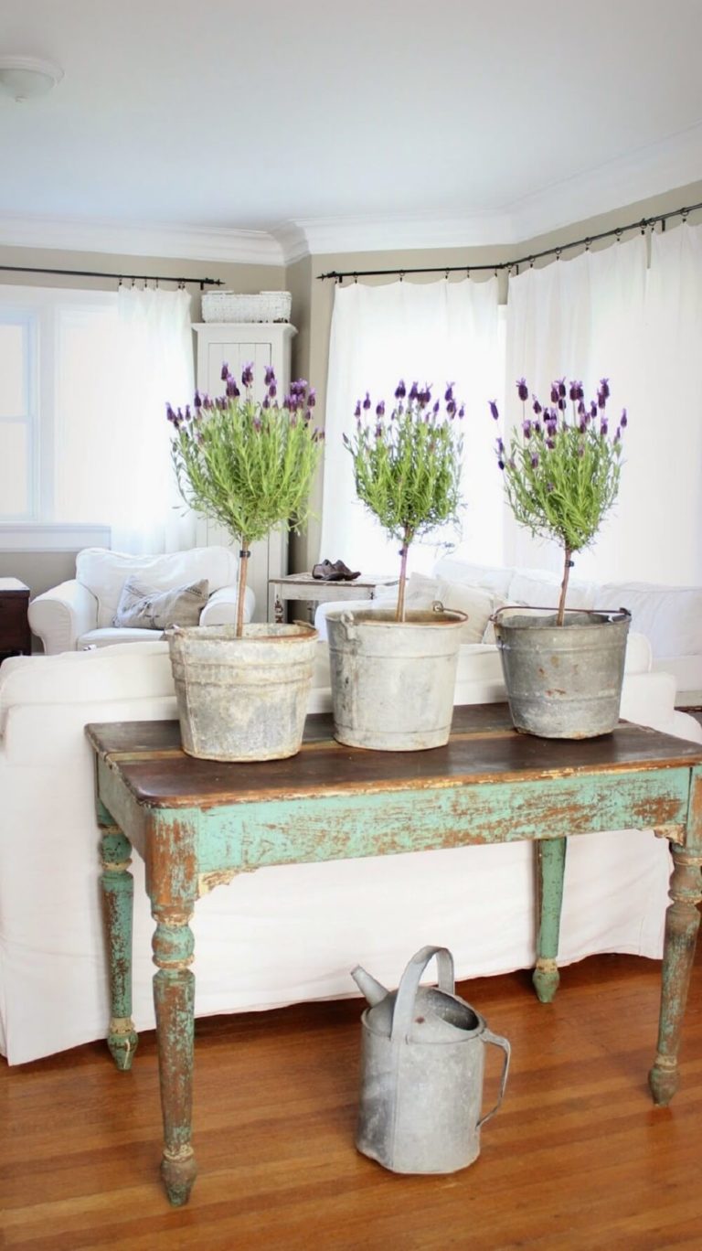 Bring Colorful Potted Plants Indoors.
