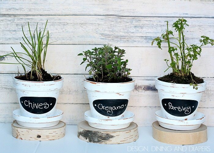 Chalkboard DIY Herb Pots.