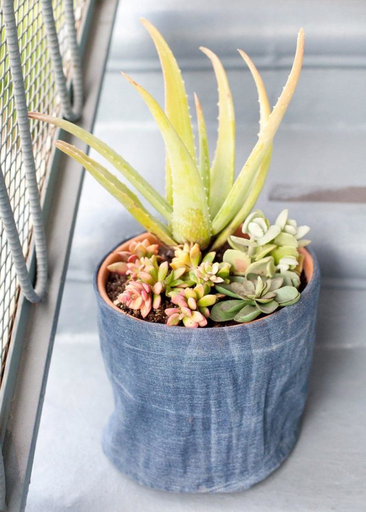 Change your jeans into a flower pot.