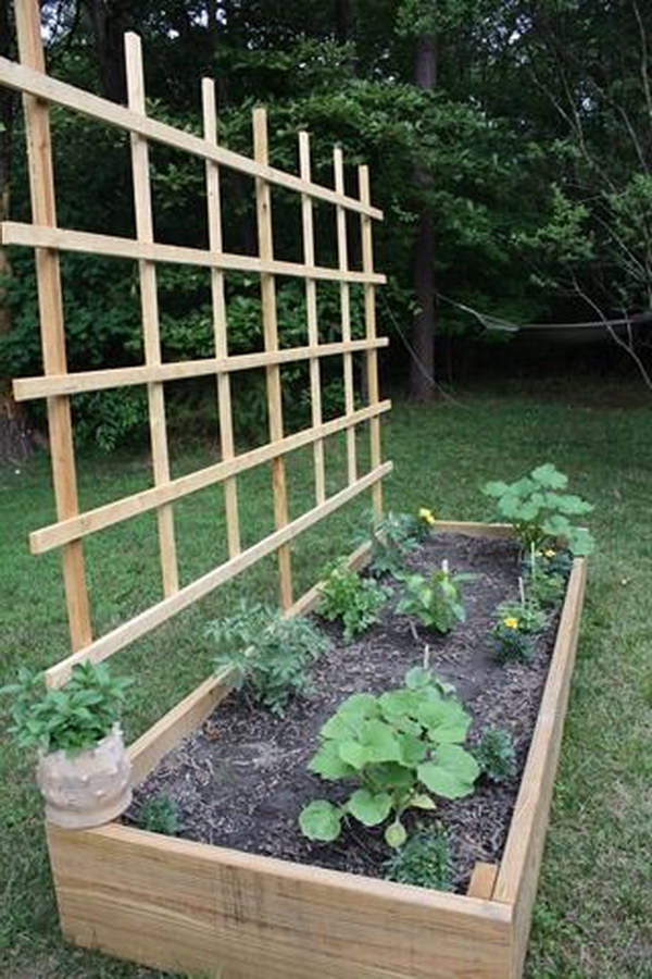 DIY Raised Bed With Trellis.