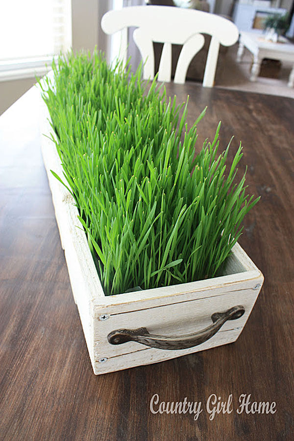 Grassy Centerpiece.